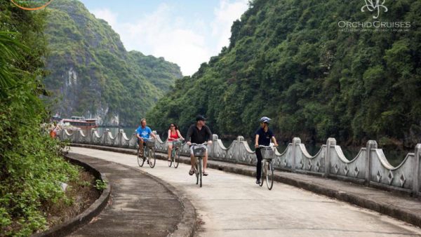 Bikking Orchid Classic Cruise Halong Bay, Du thuyền 5 sao Orchid Classic Cruise