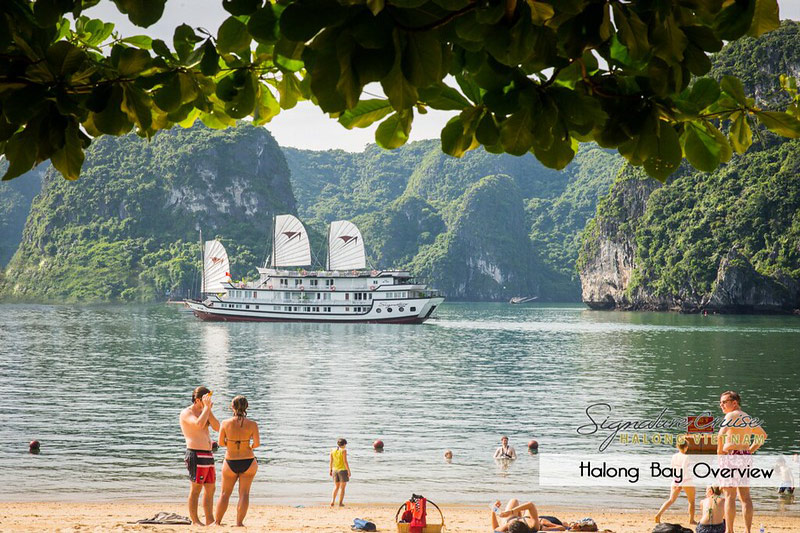 Overview Signature Royal Cruise Bai Tu Long Bay 5*, Du Thuyền Signature Royal Cruise 5 Sao