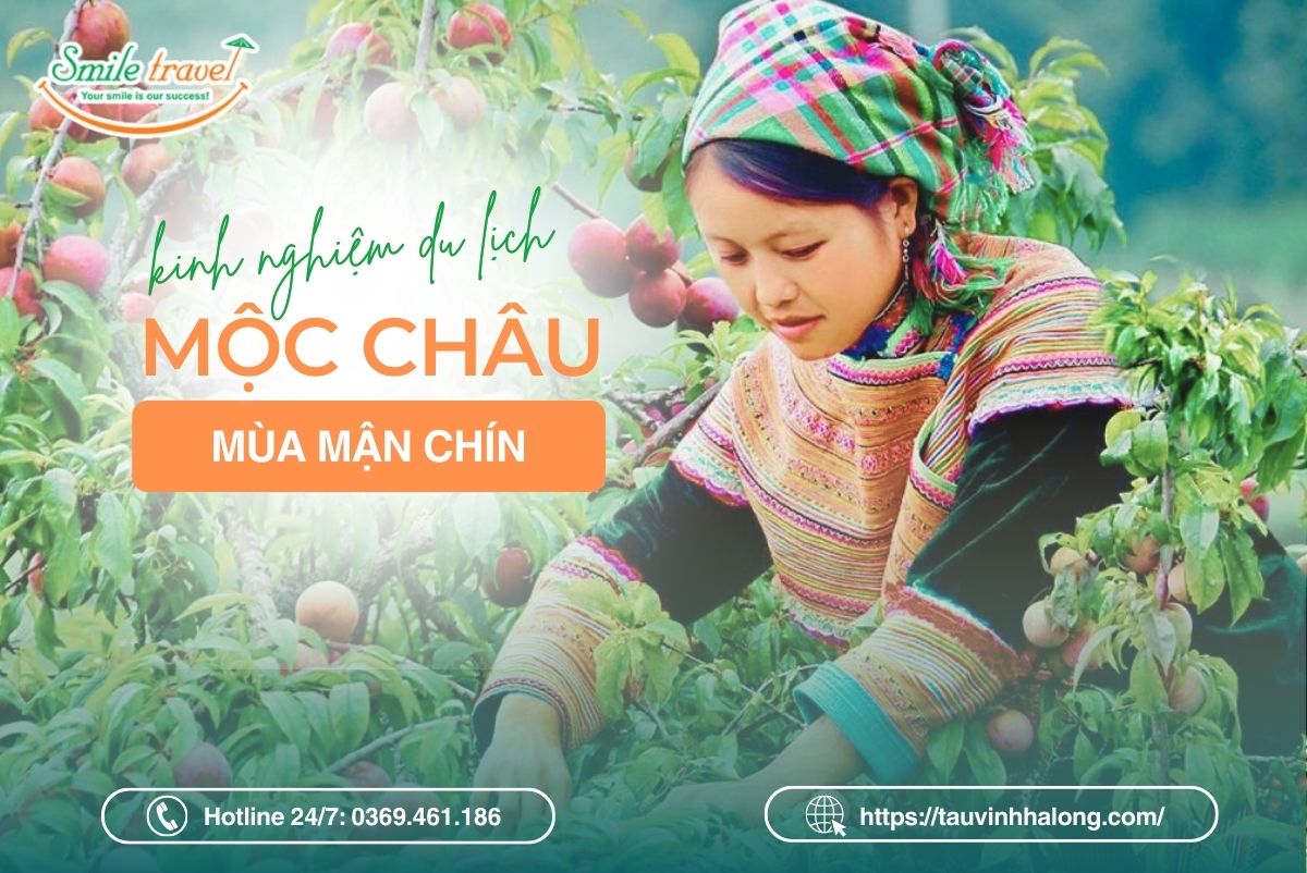 Tour Mộc Châu 2 Ngày 1 Đêm