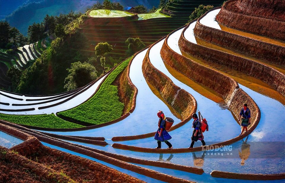 Tour Mù Cang Chải 3 Ngày 2 Đêm
