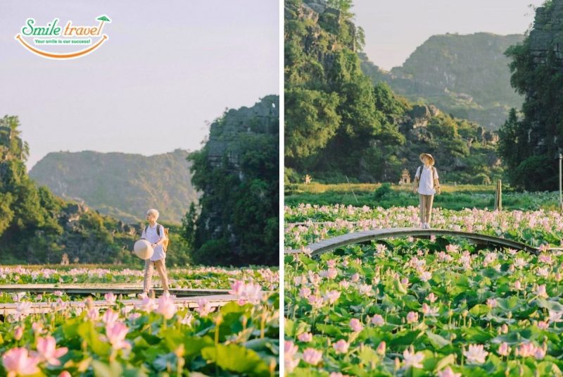 đầm sen hang múa ninh bình