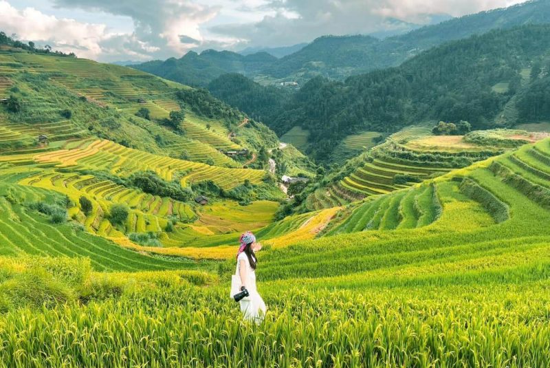 Mù Cang Chải