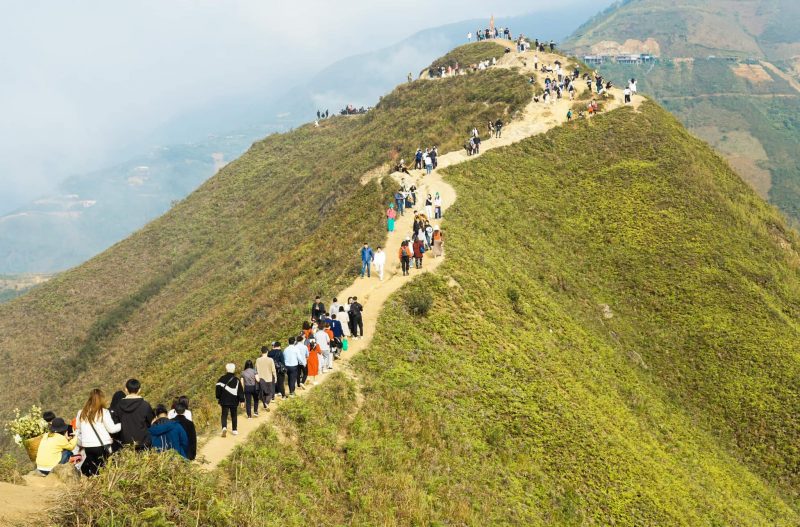 Lưng Khủng Long Tà Xùa