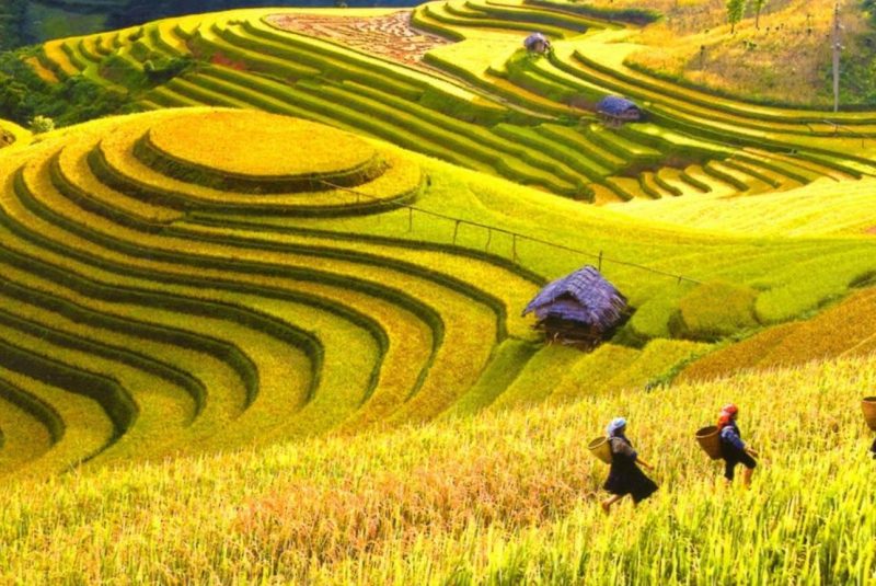 Mai châu hòa bình