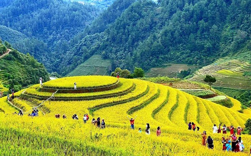 Mù Cang Chải