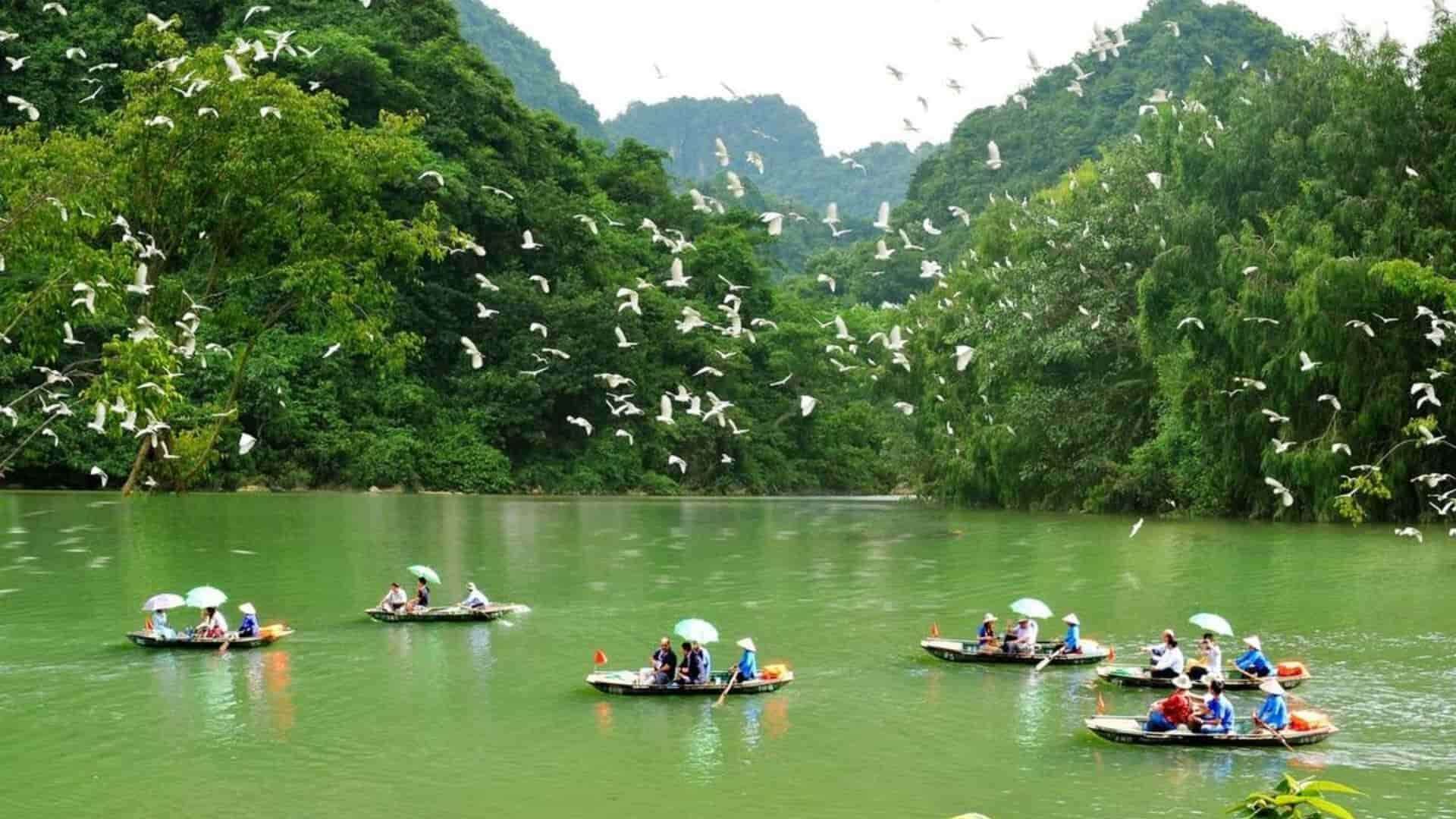 Tour Ninh Bình Tết Nguyên Đán