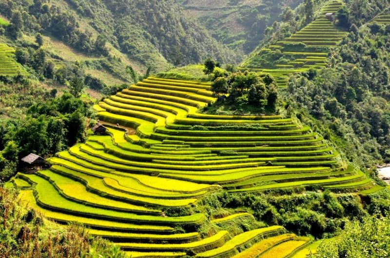 Tú Lệ Yên Bái