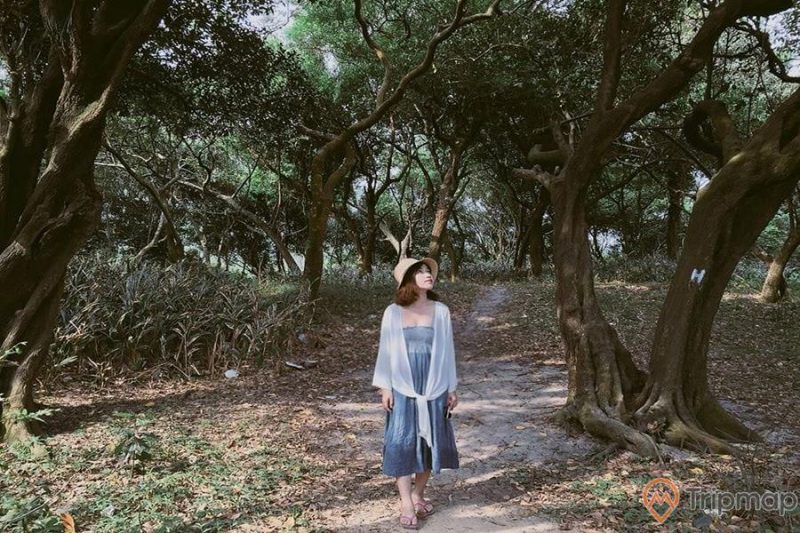 Check in Rừng Trâm Quan Lạn