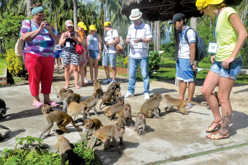 Đảo khỉ Cát Bà