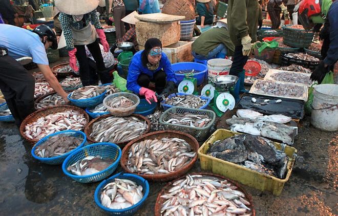 Hải Sản Biển