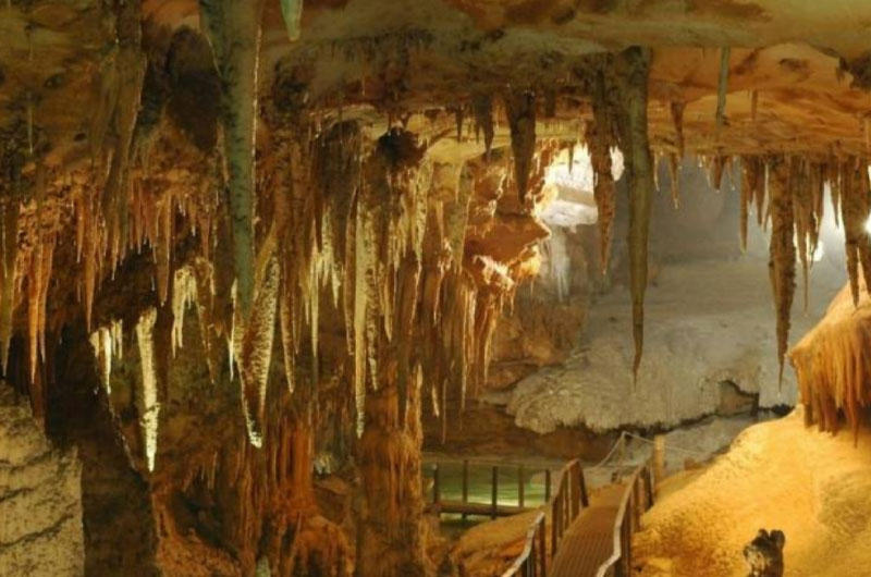 Ngũ Động Bản Ôn