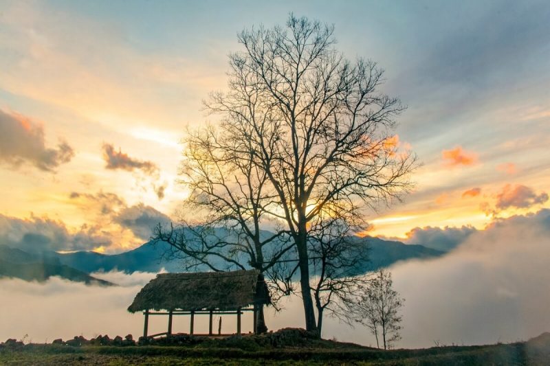 Du Lịch Y Tý
