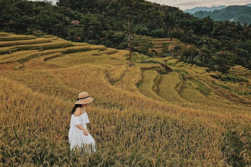 Du Lịch Pù Luông