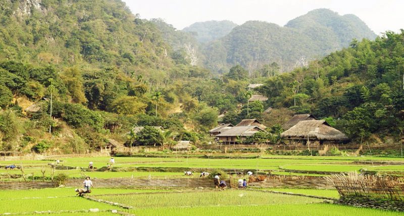 TRẢI NGHIỆM LÀM NÔNG PÙ LUÔNG
