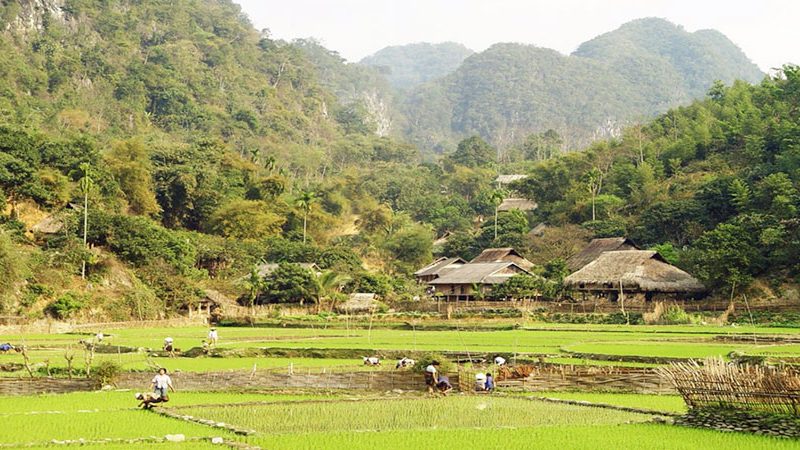 TRẢI NGHIỆM LÀM NÔNG PÙ LUÔNG