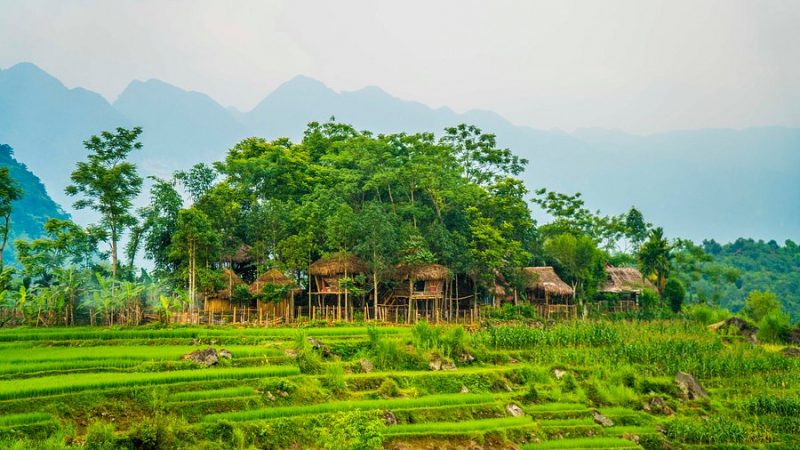Review Pù Luông 1 Ngày