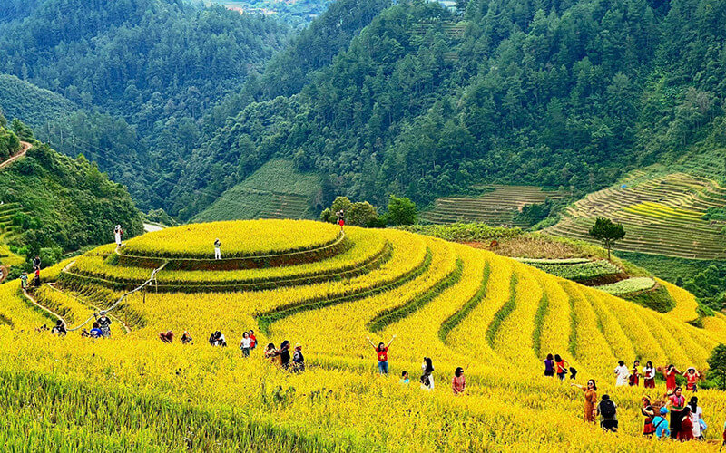 Ruộng Bậc Thang Pù Luông