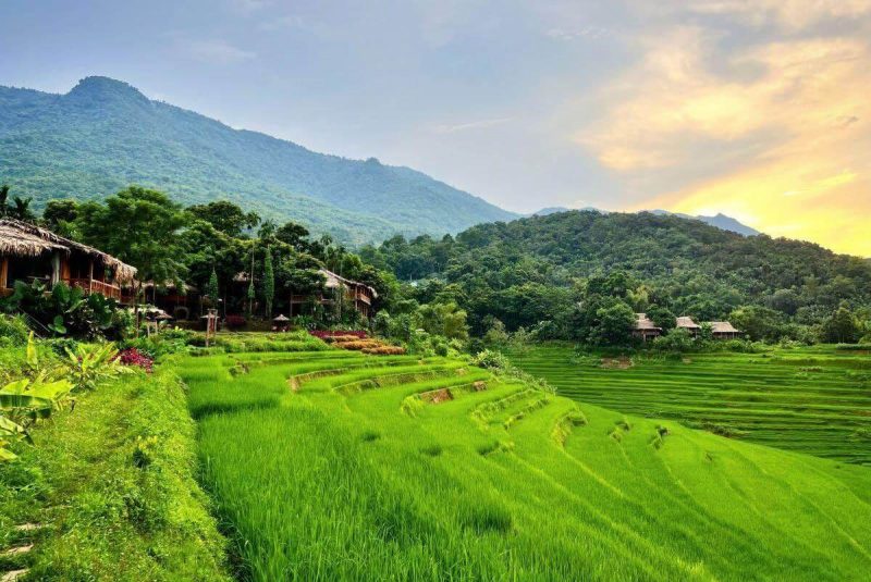 Ruộng Pù Luông