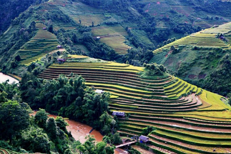 Thung Lũng Mai Châu
