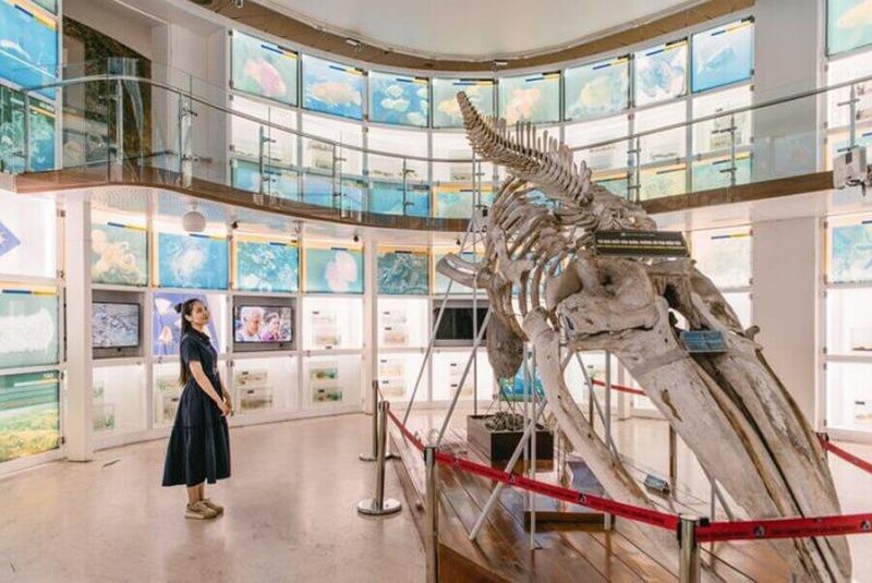 Bảo tàng Quảng Ninh