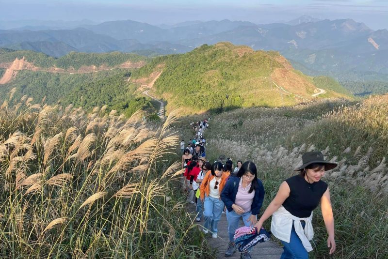 Mùa cỏ lau trắng