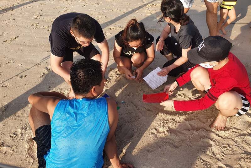 Truy tìm kho báu bãi biển