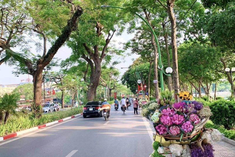 mùa thu hồ tây hà nội
