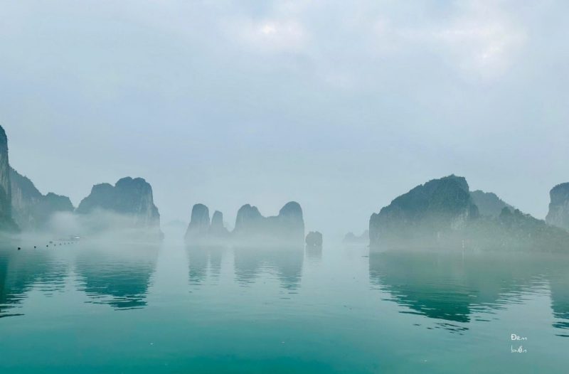 Săn sương trên vịnh hạ long