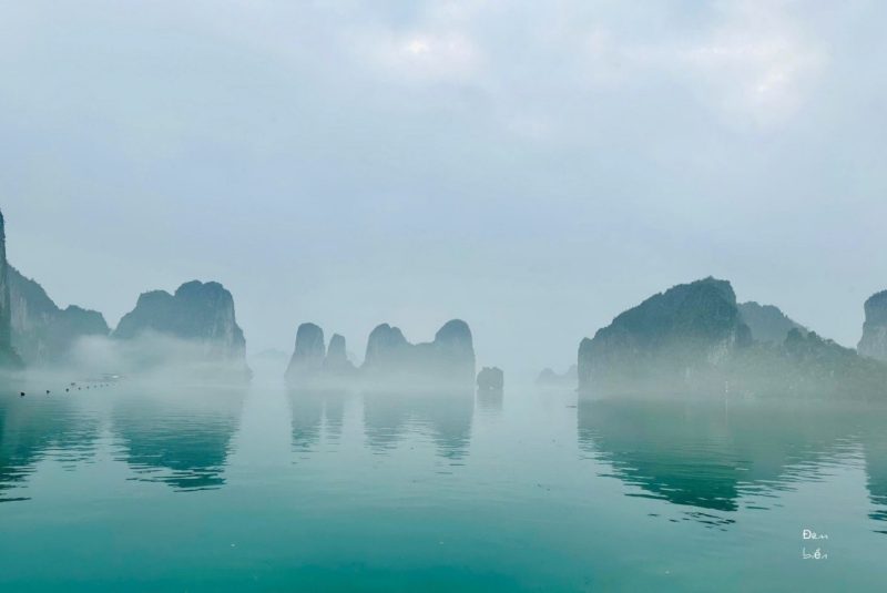 Săn sương trên vịnh hạ long