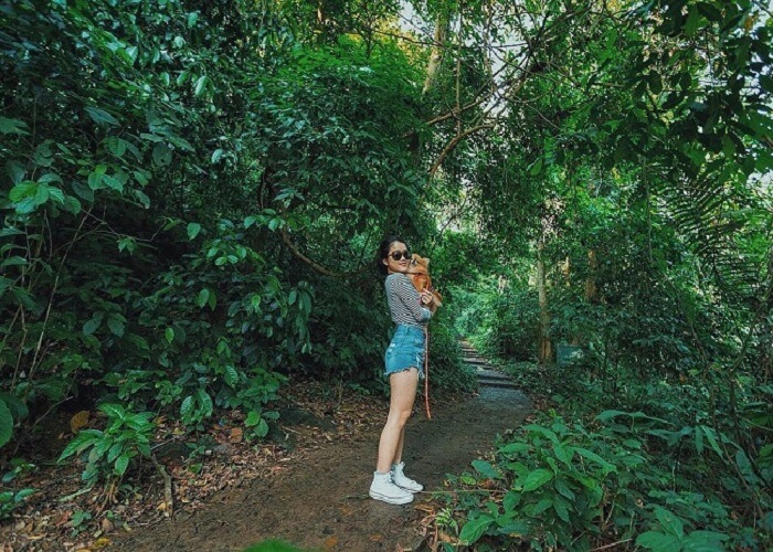 Vườn Quốc Gia Cúc Phương