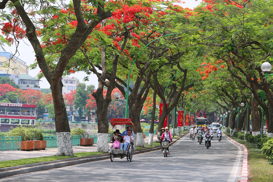 Tour Hà Nội 1 Ngày