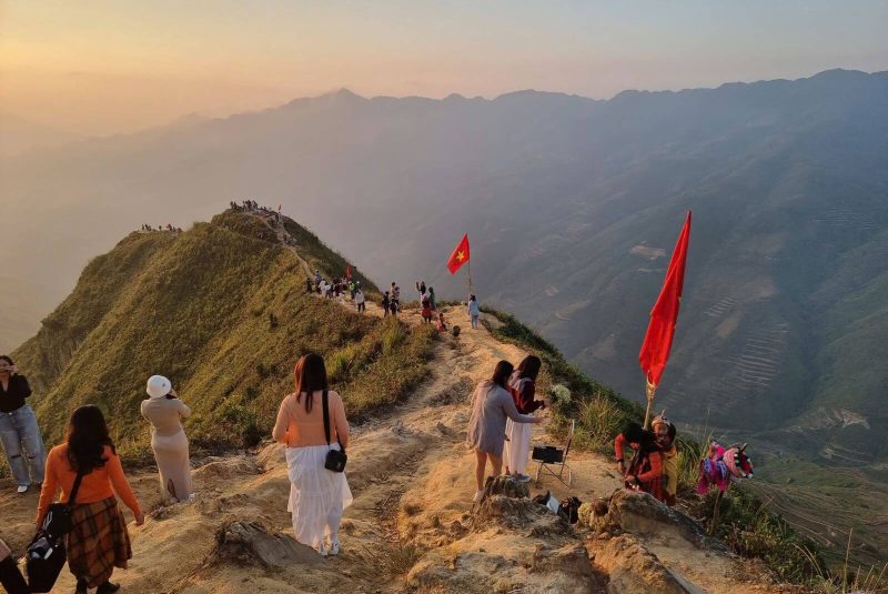 Sống Lưng Khủng Long