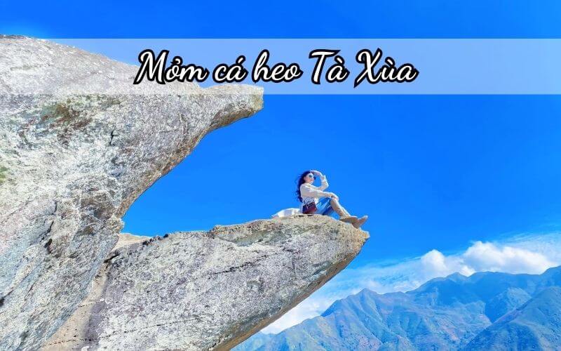 check in mỏm cá heo tà xùa siêu đẹp