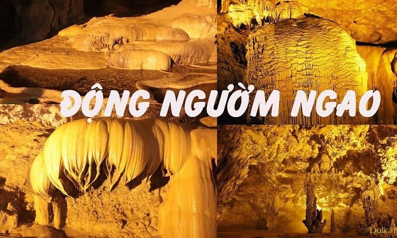 động ngườm ngao có gì (1)