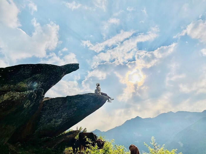 mỏm cá heo tà xùa