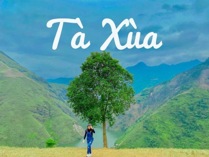 view cây cô đơn tà xùa siêu đẹp