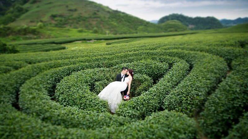 Đồi Chè Trái Tim Mộc Châu