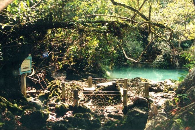 Làng Pác Bó (Suối Lê-nin)