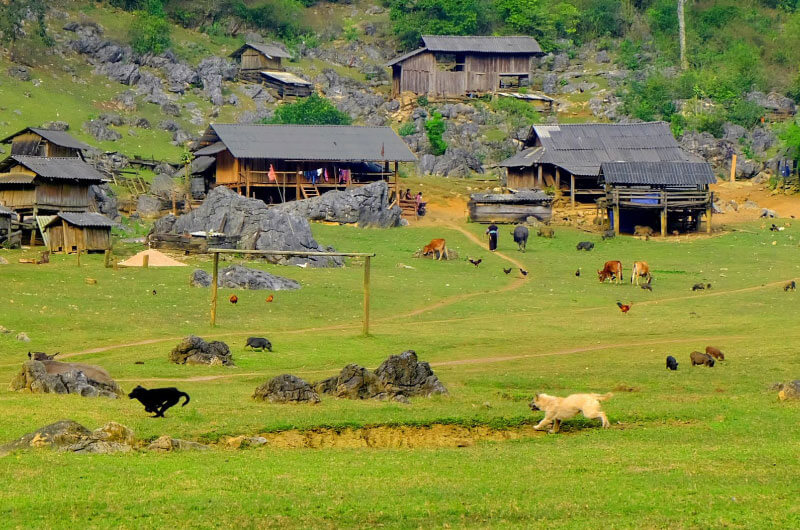 Ngũ Động Bản Ôn