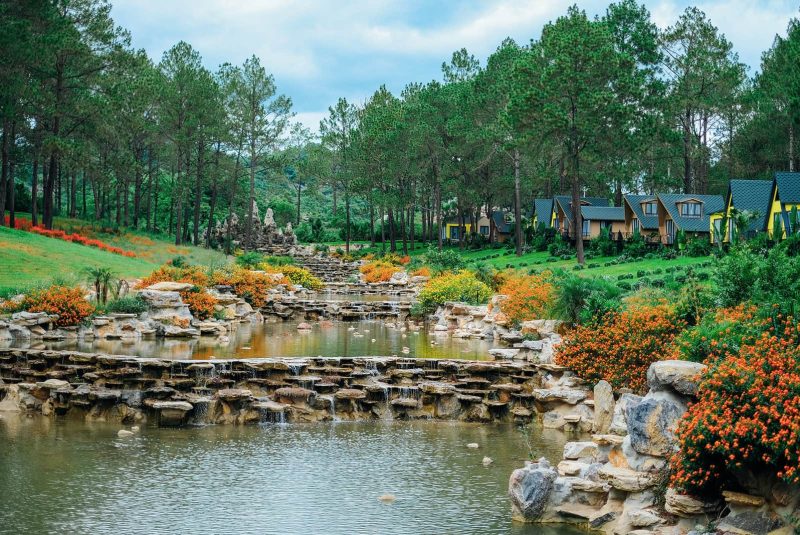 Rừng Thông Bản Áng Mộc Châu