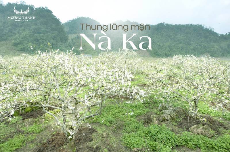 Thung Lũng Mận Nà Ka