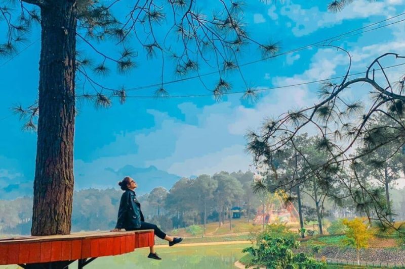 check in Rừng Thông Bản Áng Mộc Châu