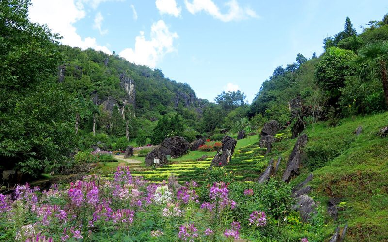 núi hàm rồng review