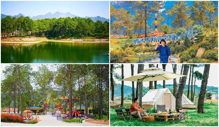 view Rừng Thông Bản Áng Mộc Châu